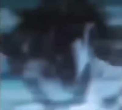 Discord wondering why we’re refreshing so much on the YBA GC there’s obviously no updates yet.