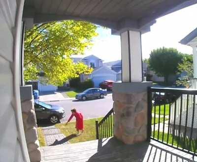 Just an old lady in a housecoat chasing a bobcat across my lawn.