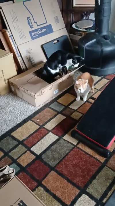 Out of the box taps,lol.