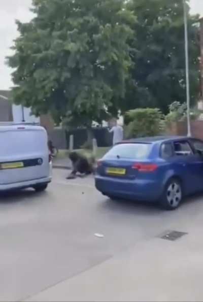 UK traffic cop on form 