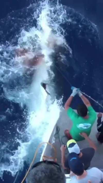 He wanted a big fish... but not a HUGE fish