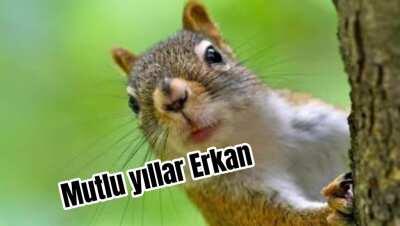 Doğum Günün Kutlu Olsun