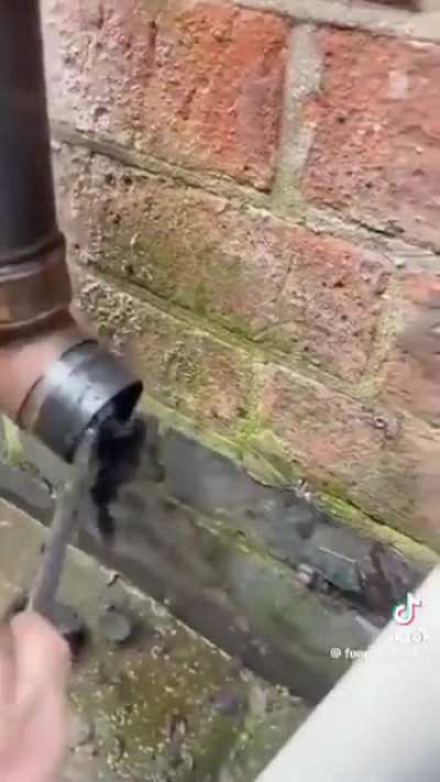 The satisfaction of a clean drain is unmatched