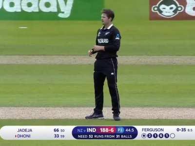 Thala made him confused 