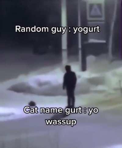 The cat’s name is gurt