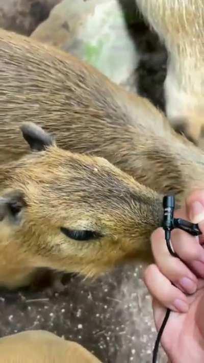 copy speaks into mic!