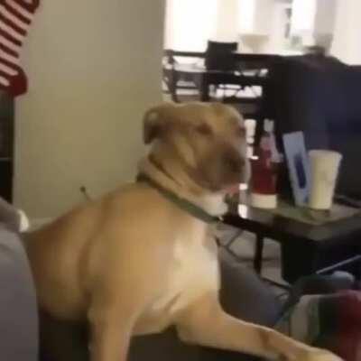 WTF is your problem?