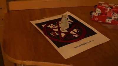 le meme i work hard on yet looks like crap cuz the tracking was fucked and i didn't notice somehow