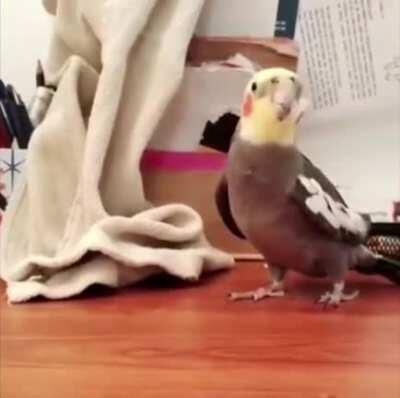 DO NOT CLICK THIS POST