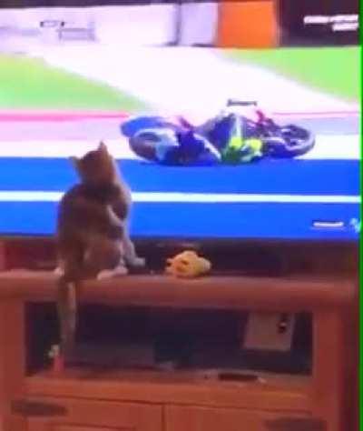 kitty has special powers