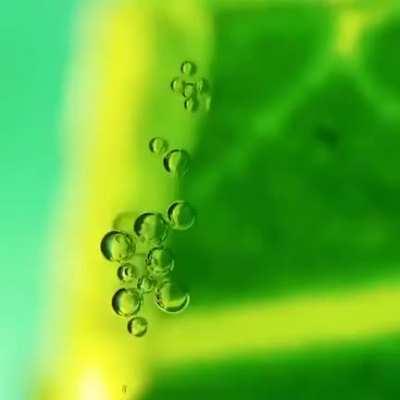 Real-time oxygen production of a mango leaf