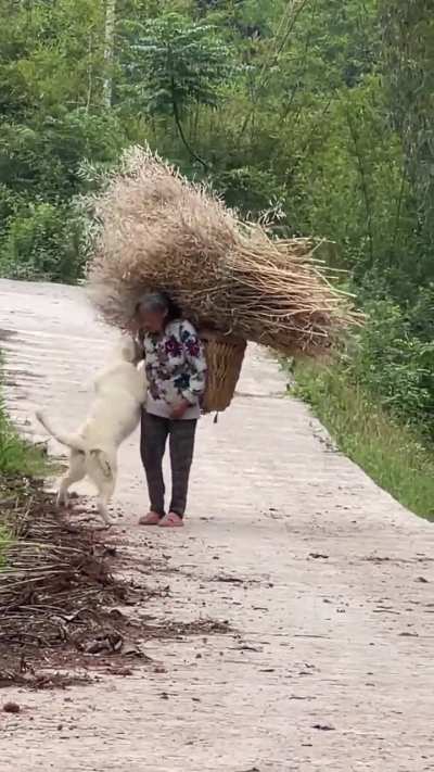 Hoooman! Let me help you!