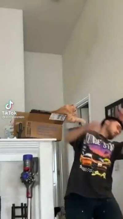 Kitty just said not hehe