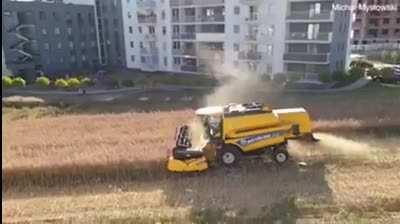 Polish farmer who refused to sell his land to developers harvests his field surrounded by apartments