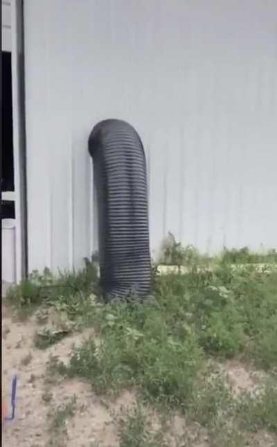 How to escape the police