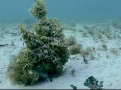 Let's play hide and seek together!