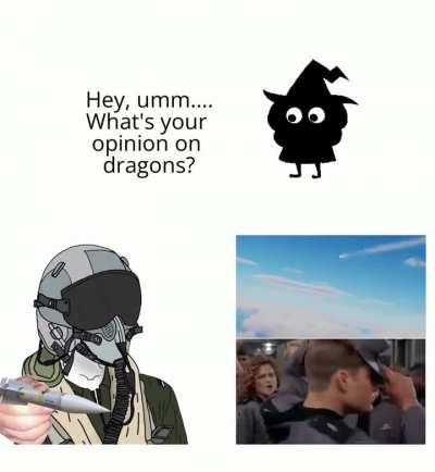 The only good Drake is a dead Drake.