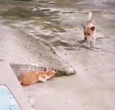 Next level friendship