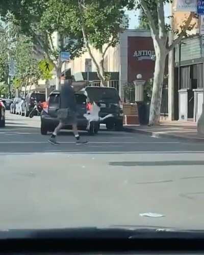 А ты своего гуся уже выгуливал сегодня?