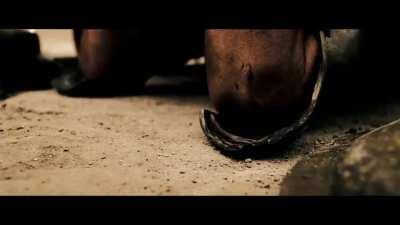 CARE ESTE SCOPUL VIEȚII