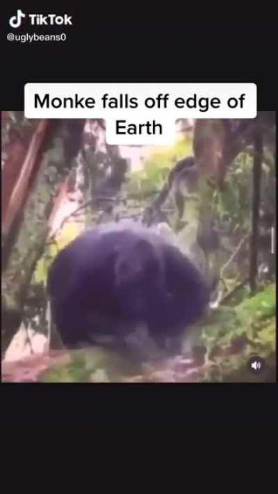 Omg 😱 proof the earth is flat