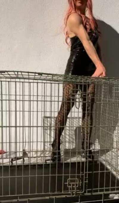 Look what I have for you my puppy