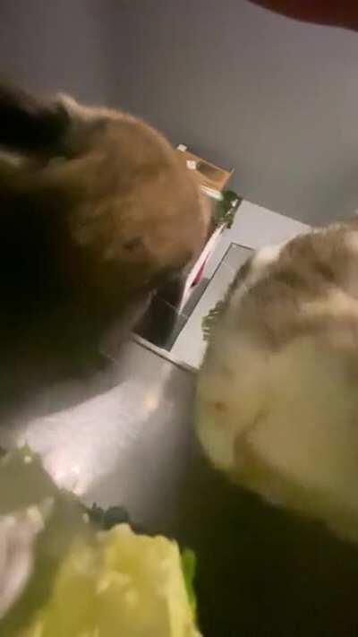 ASMR (I must be such an annoying mommy hahahah)