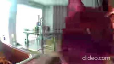 cat 1080p full hd 4k