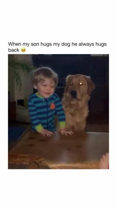 A real life teddy bear. 