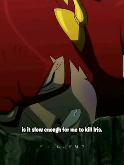 I think i downloaded the wrong flash