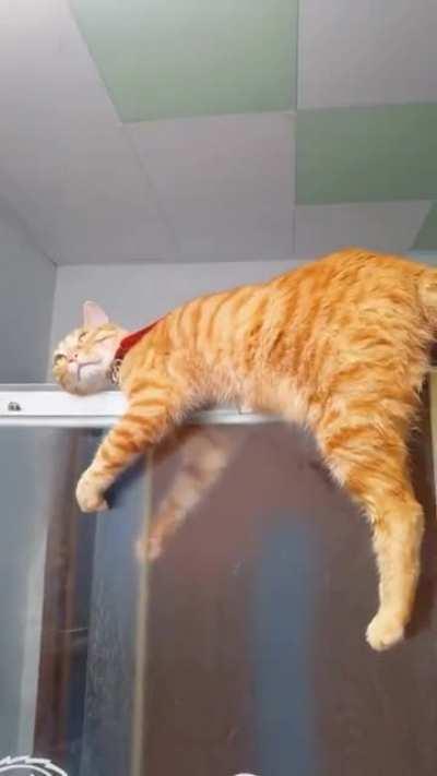 (OC) Why my ginger boy doing this when I taking shower