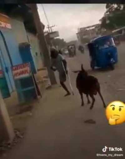 Now you ain’t got a leg to stand on..