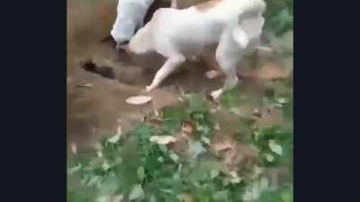 Немного грусти