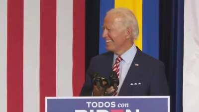 President Biden to Vice President after the victory