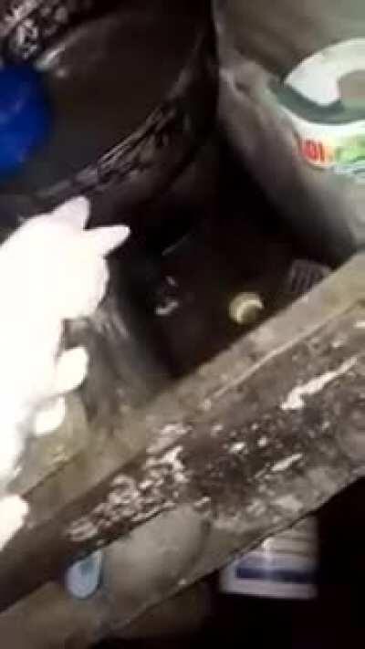 Venga papi, no te vayas a meter