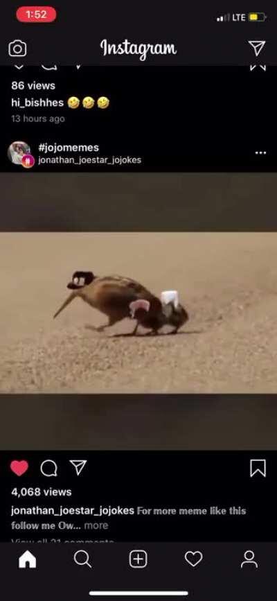 The jojo fans will get it