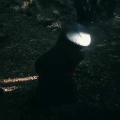 Realmente amo está película 