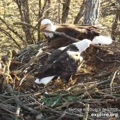 When you have differing opinions on interior design