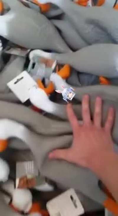 so i had an idea peko | VOLUME WARNING