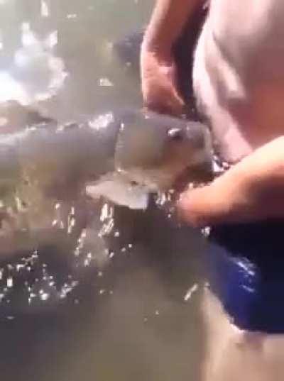 Guy pleasures himself with a fish
