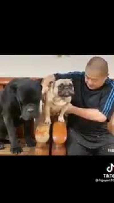 How people be from a distance