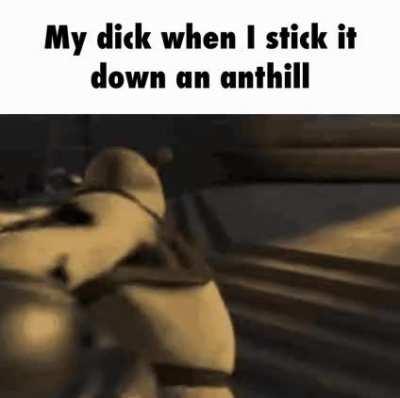 Fire ants or bullet ants?