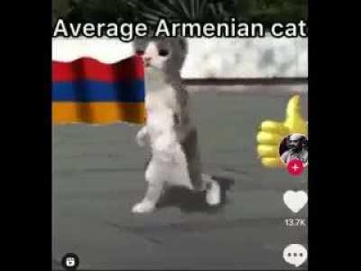 armenia