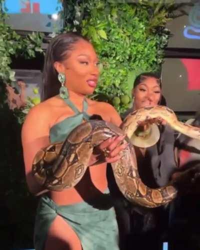 Megan Thee Stallion x Asian Doll x Dreezy x Glorilla