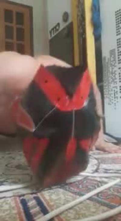 oha rey mysterio ne diyon