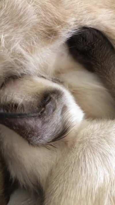 Lol what are they doing? (Big one is male)