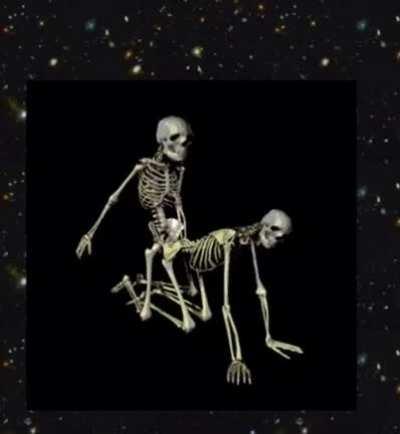 U need some Calcium? (sound on)