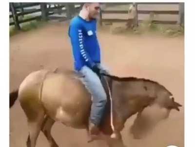 when your mule becomes sentient