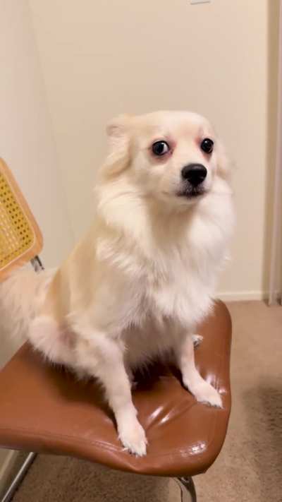 Staring game with this one 😂