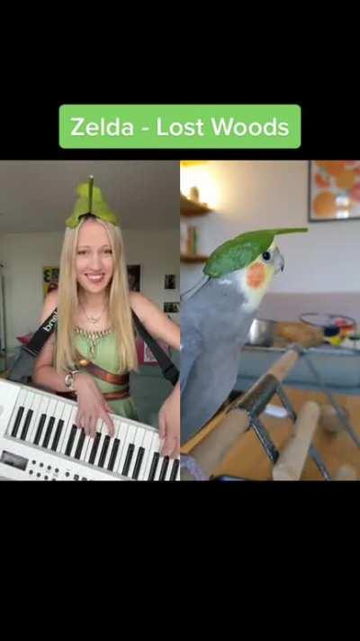 [OoT] A musical duet of Lost Woods with a bird